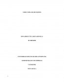 VIDEO TOMA DE DECISIONES