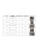 Protocolo FORMULA MOLECULAR GRUPO FUNCIONAL
