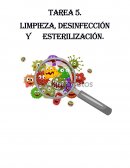 Que es un efecto bacteriostático