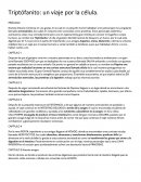 Un Resumen libro triptofanito