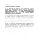 CAPITULO 35 UNA DEFINICION DE PYME INDUSTRIAL