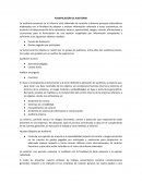 EJECUCIÓN DE AUDITORIA (EXPERIENCIA PROPIA)