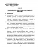 El Guarani y la Nueva Familia de Blindados Brasilera