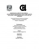 USO DE DISPOSITIVOS MOVILES (TALES COMO TABLETS, CELULARES, COMPUTADORAS) EN LA VISTA DE LAS PERSONAS