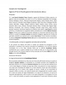 La Carpeta de investigación ejemplo