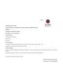 Una Maestría en Dirección y Administración de Empresas (MBA) modalidad Online 100%