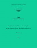 TECNOLOGIAS DE LA INFORMACION Y EL CONOCIMIENTO (TIC)