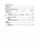 Que son los Sistemas Expertos