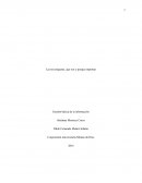 Ensayo las netiquetas.