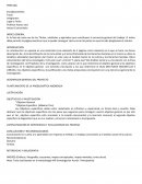 La Estructura de Informe de Avance