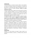 Ensayo mecanismos de rendición de cuentas.