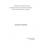 TEMA DE ENSAYO ¿QUÉ SIGNIFICA SER MAESTRO?