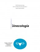 Ginecologia es una especialidad médica