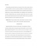 Aportes de Sigmund Freud