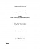 Práctica N°1 Análisis de Magnesio por Gravimetría de Precipitación