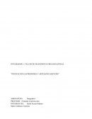 INNOVACIÓN GASTRONOMÍA Y ARTESANÍA MAPUCHE