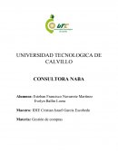 Consultora DIF municipal de Calvill