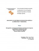 UN ANALISIS DE LOS SISTEMAS DE PRODUCCIÓN AGRÍCOLA ALTERNATIVOS Y TRADICIONAL