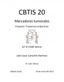 Proyecto de marcadores tumorales