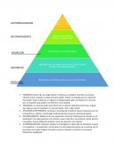 Piramide de Maslow aplicada a la administracion