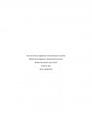 Titulo de la tarea: diagrama de instrumentación y tuberías