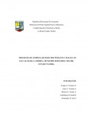 PROGRAMA DE LIMPIEZA DE DESECHOS PÚBLICOS Y MALEZA EN LAS CALLES DE LA MORITA, MUNICIPIO FERNÁNDEZ FEO DEL ESTADO TÁCHIRA