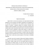 Toma de decisiones resumen