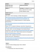 Actividad Investigación de casos de éxito y aplicación de los modelos Collins, Maxwell y Llanos