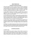 Antecedentes de la Psicología - Ideas principales