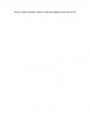 APOYO COMPUTACIÓNAL PARA EL ANÁLISIS SIMBÓLICO DE CIRCUITOS