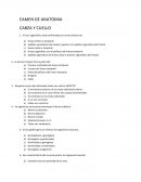 Apófisis ascendente del maxilar superior con apófisis cigomática del frontal