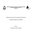 Programa de acción como propuesta de intervención. Un pequeño jugando y aprendiendo
