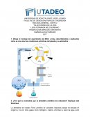 BIOLOGÍA GENERAL- CORTE 2