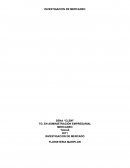 INVESTIGACION DE MERCADO FLORISTERIA MARIFLOR