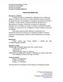 Pauta- Ensayo escrito, que incluya reflexión y análisis del texto (investigación/paper) señalado.
