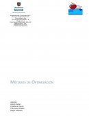 Trabajo Métodos de Optimización
