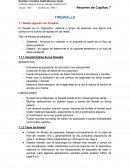 El firewall es un dispositivo, sistema o grupo de sistemas que aplica una política en el control de acceso en las redes.