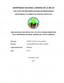 EBALUACION DE UNA PPM DE (100 x 100 ) EN EL BOSQUE RESERVADO DE LA UNIVERSIDAD NACIONAL AGRARIA DE LA SELVA (BRUNAS)