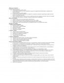 Hola del latín logística término con el que se identificaba en épocas de la antigua Roma al administrador o intendente de los ejércitos del imperio.