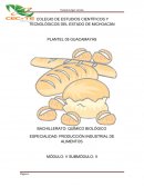 MÓDULO: V SUBMÓDULO: II REALIZA PROCESOS DE TRANSFORMACIÓN DE CEREALES Y PRODUCTOS DERIVADOS