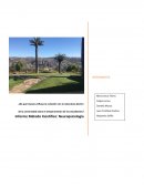 ¿De qué manera influye la conexión con la naturaleza dentro de la universidad sobre el temperamento de los estudiantes?