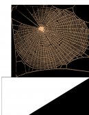 La gran telaraña del narcotráfico