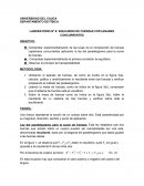 DEPARTAMENTO DE FÍSICA LABORATORIO Nº 6: EQUILIBRIO DE FUERZAS COPLANARES CONCURRENTES