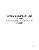 CAPÍTULO 1. DESCRIPCIÓN DE LA EMPRESA FLEX AMERICAS S.A DE C.V PLANTA ALTAMIRA