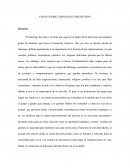 ENSAYO LIDERAZGO COMUNITARIO