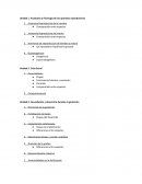 Anatomía Reproductiva de la hembra