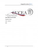 Oferta y demanda de tequila jalisco