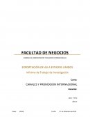 CANALES Y PROMOCION INTERNACIONAL