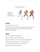 ANATOMIA Y FISIOLOGIA. ETIMOLOGIA HISTORIA GENERALIDADES