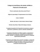 Competencia genérica (5): Desarrolla innovaciones y propone soluciones a problemas a partir de métodos establecidos.